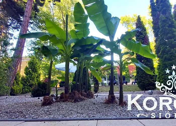 Korona Hotell Siófok